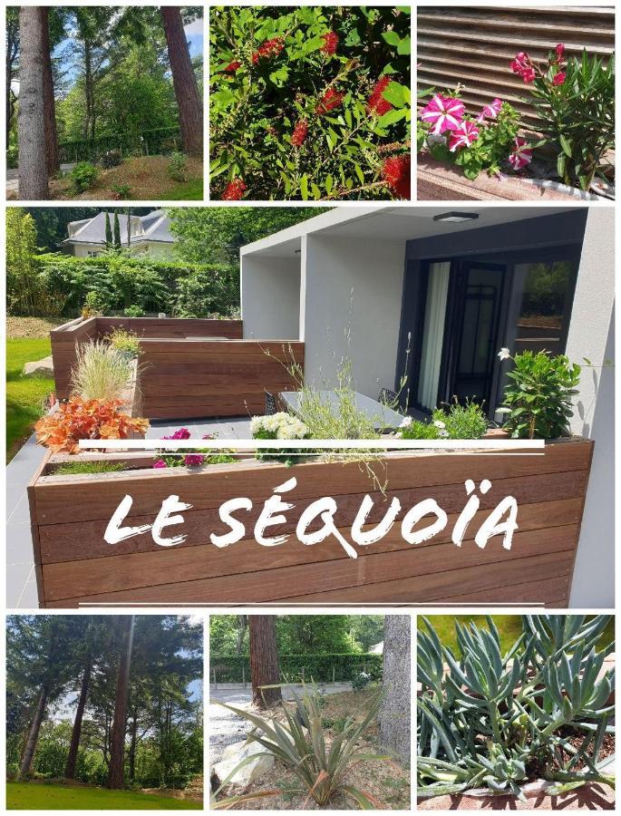 Апартаменти Le Sequoia Сен-Себастьян-сюр-Луар Екстер'єр фото